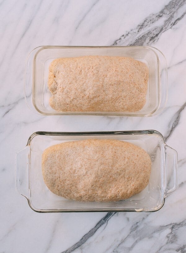 Perfect Whole Wheat Bread, by cwww5.fioekdjsdas.cf