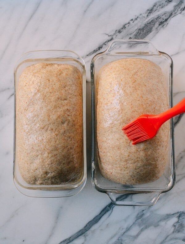 Perfect Whole Wheat Bread, by cwww5.fioekdjsdas.cf