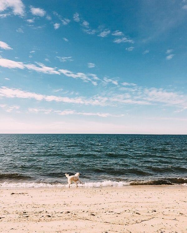 barley-beach