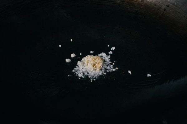 Takeout-Style Broccoli with Garlic Sauce, by cwww5.fioekdjsdas.cf