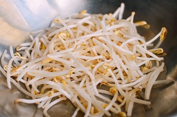 Chicken and Bean Sprouts, by cwww5.fioekdjsdas.cf