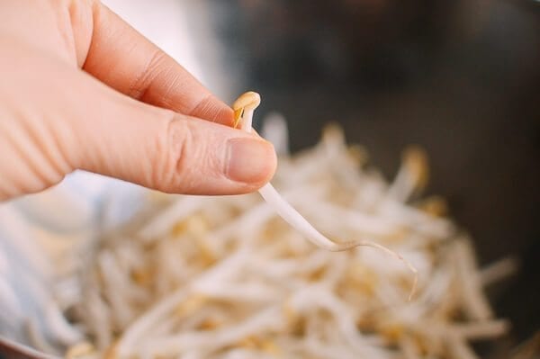 Chicken and Bean Sprouts, by cwww5.fioekdjsdas.cf