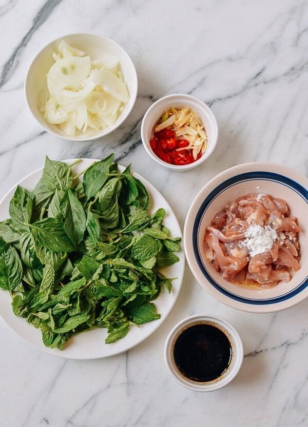Thai Chicken Stir-fry with Basil & Mint, by cwww5.fioekdjsdas.cf
