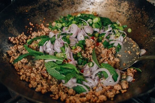 Pork Larb, The National Dish of Laos, by cwww5.fioekdjsdas.cf