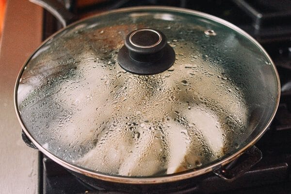 Steaming dumplings in frying pan, cwww5.fioekdjsdas.cf