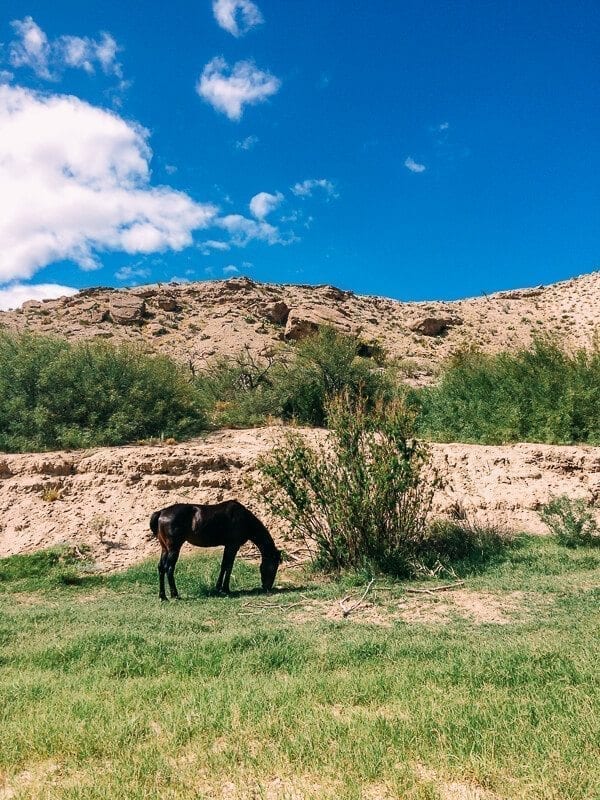 Spirit Horse Boquillas Canyon, Big Bend National Park - cwww5.fioekdjsdas.cf