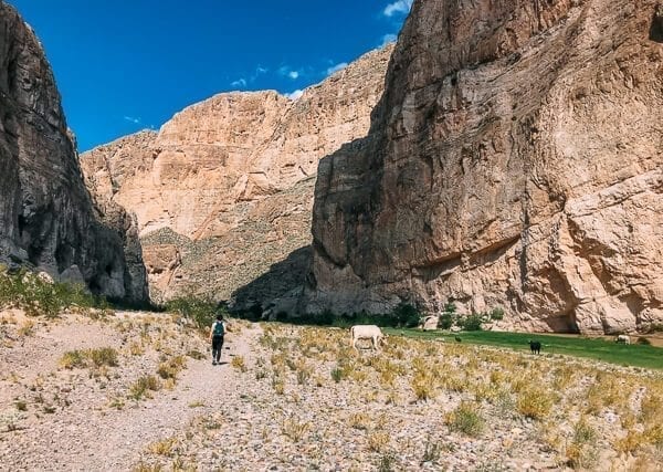 Boquillas Canyon, Big Bend National Park - cwww5.fioekdjsdas.cf