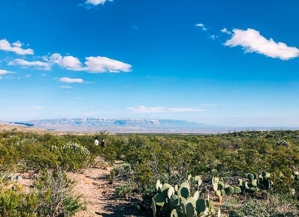 Big Bend National Park, by cwww5.fioekdjsdas.cf