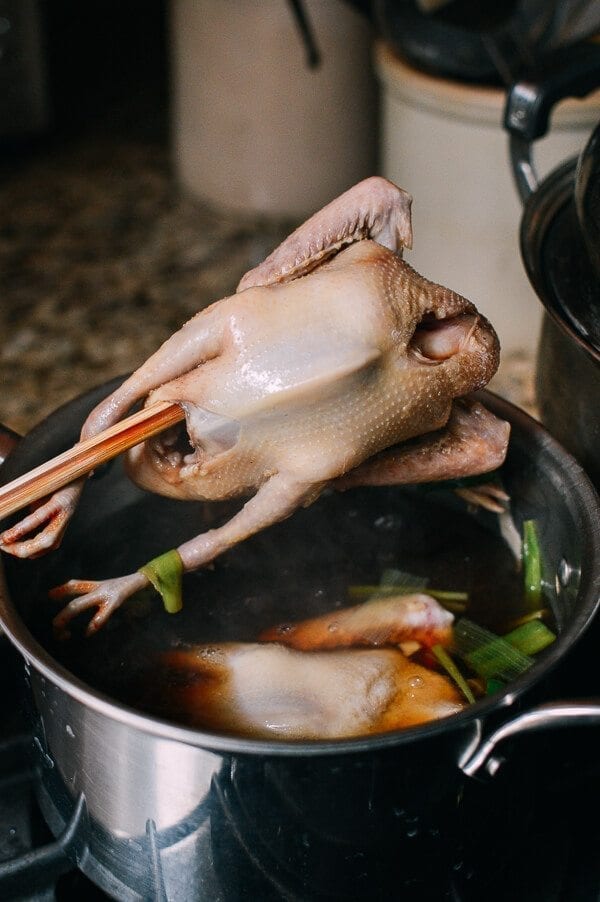 Chinese Fried Pigeon (Squab), by cwww5.fioekdjsdas.cf