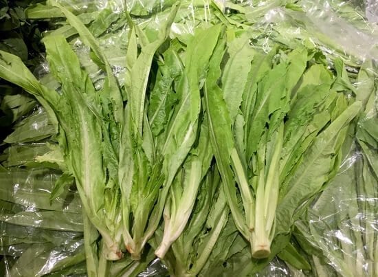 AA-Choy, by cwww5.fioekdjsdas.cf