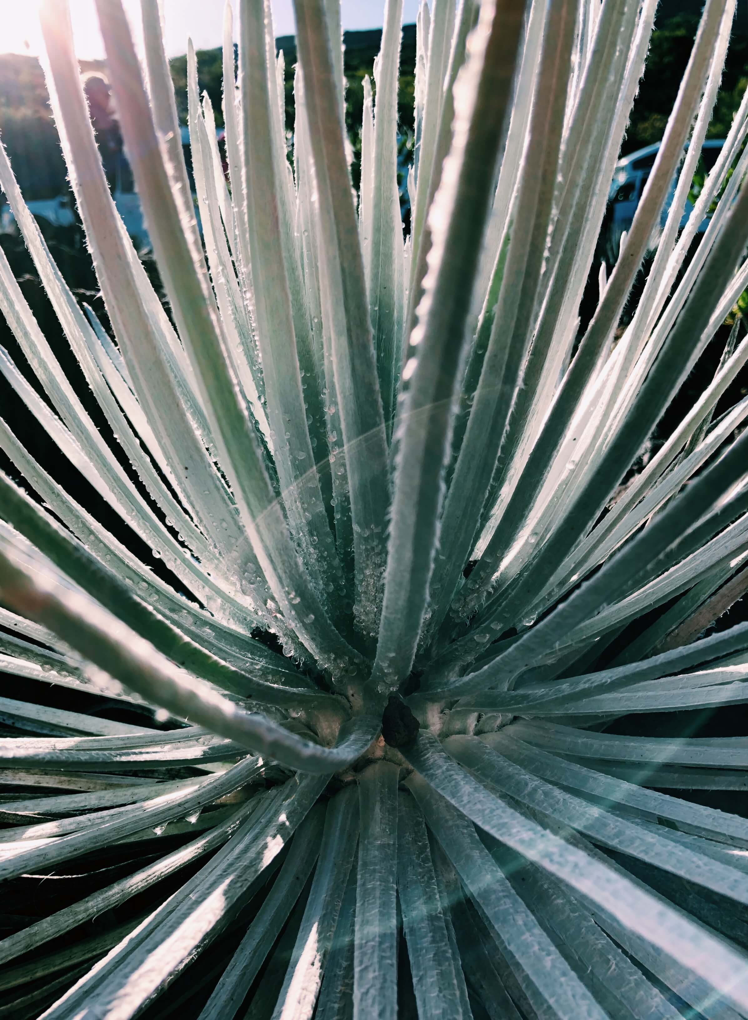 23 Things to Do in Maui, by cwww5.fioekdjsdas.cf