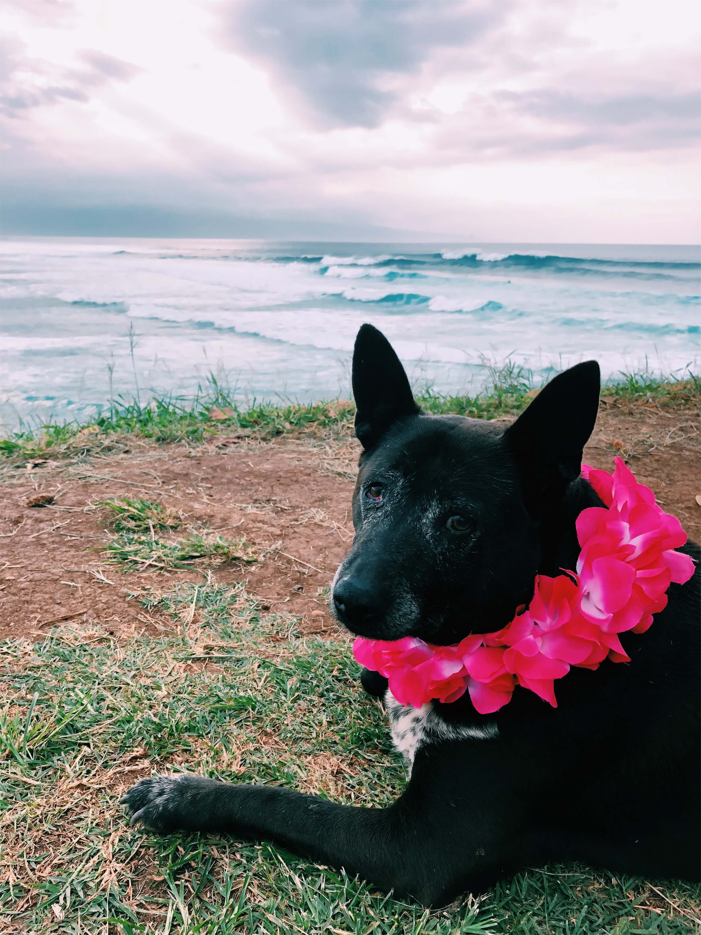 23 Things to Do in Maui, by cwww5.fioekdjsdas.cf