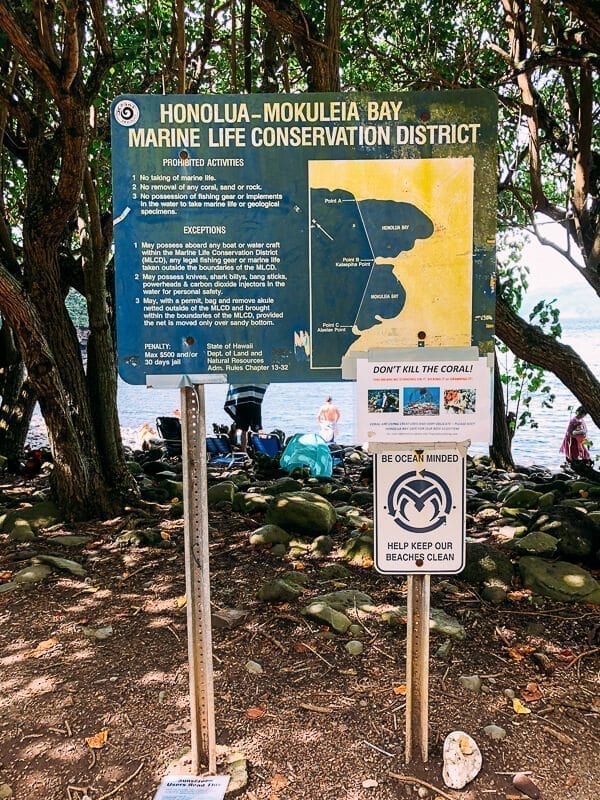23 Things to Do in Maui, by cwww5.fioekdjsdas.cf