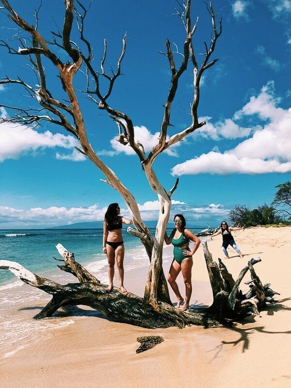 23 Things to Do in Maui, by cwww5.fioekdjsdas.cf