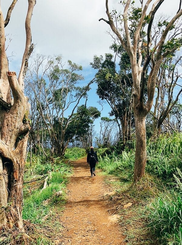 23 Things to Do in Maui, by cwww5.fioekdjsdas.cf