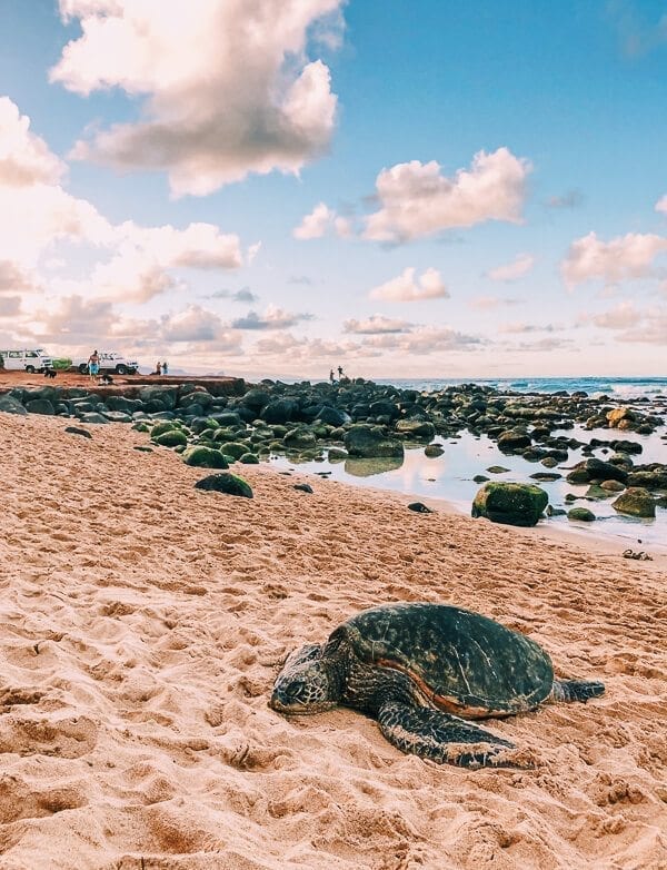 23 Things to Do in Maui, by cwww5.fioekdjsdas.cf