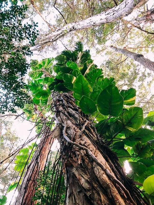 23 Things to Do in Maui, by cwww5.fioekdjsdas.cf