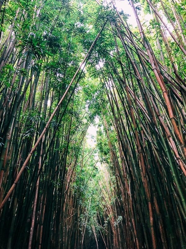 23 Things to Do in Maui, by cwww5.fioekdjsdas.cf