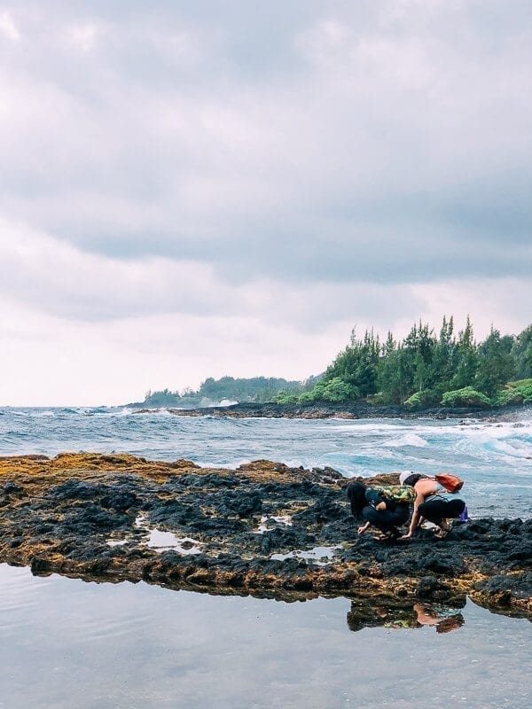23 Things to Do in Maui, by cwww5.fioekdjsdas.cf