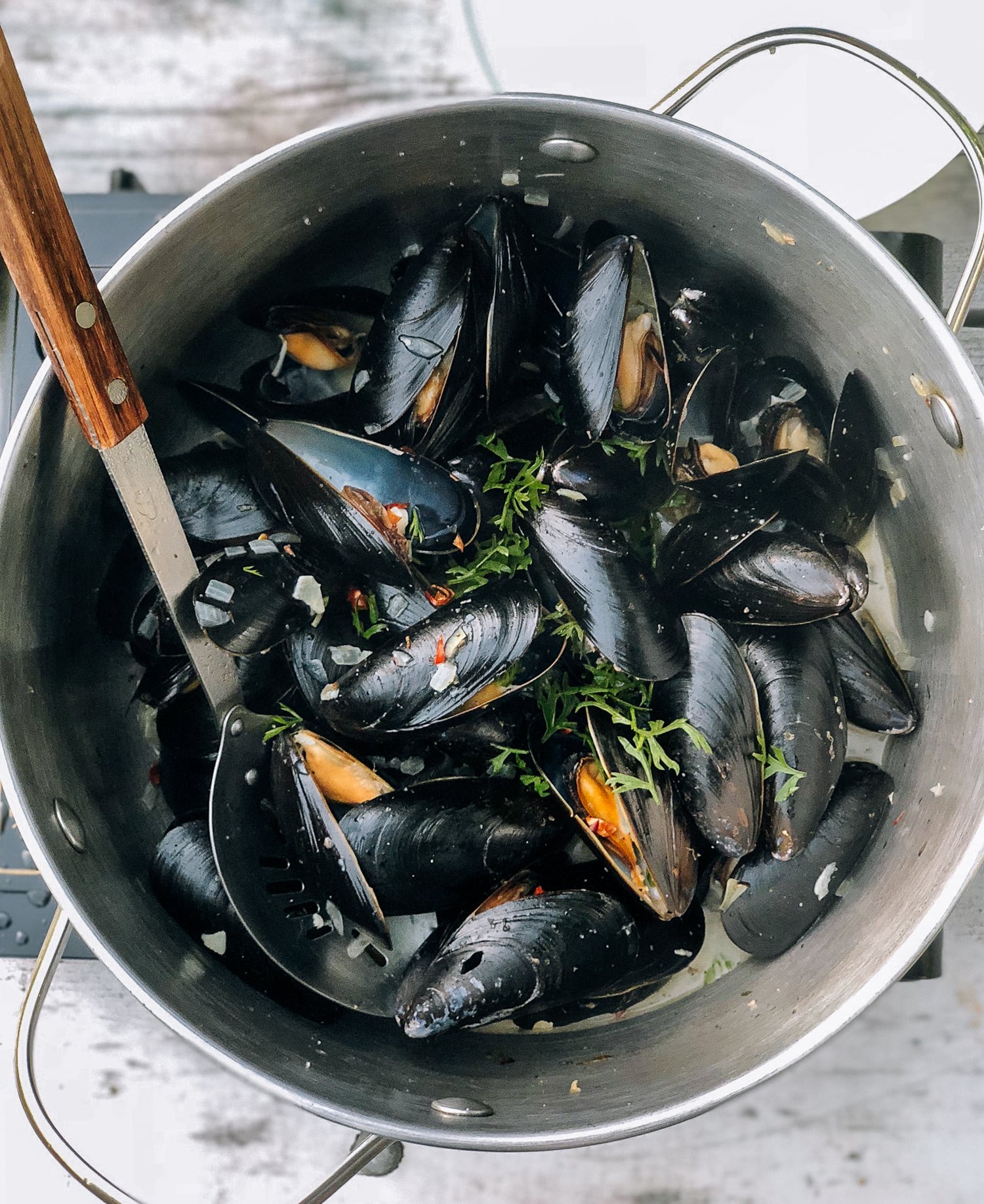 Steamed Mussels, by cwww5.fioekdjsdas.cf
