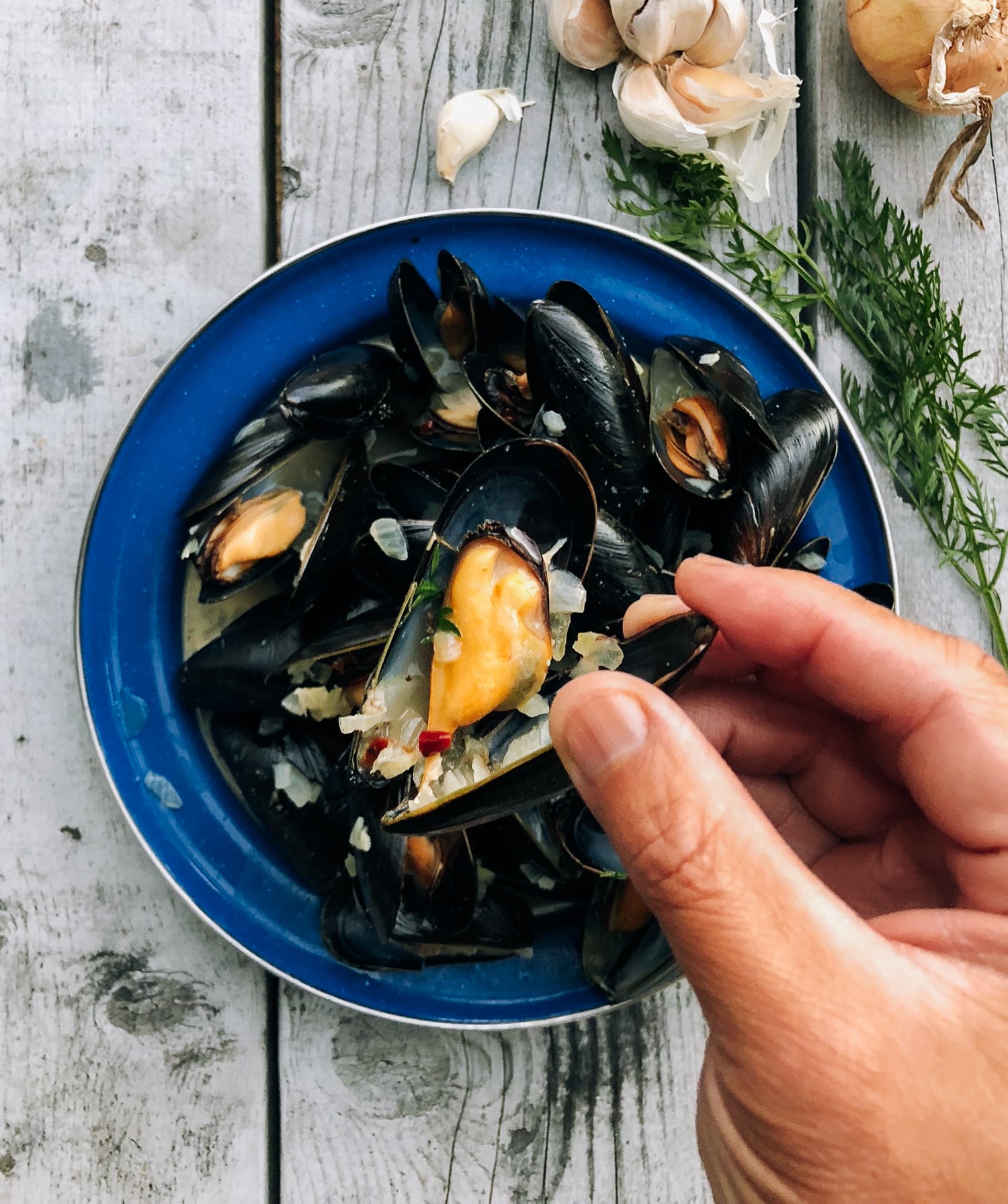 Steamed Mussels, by cwww5.fioekdjsdas.cf