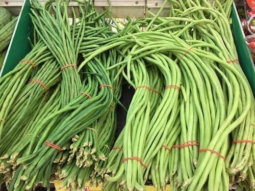 Chinese long beans types by cwww5.fioekdjsdas.cf