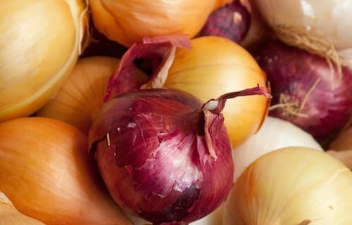 Onions by cwww5.fioekdjsdas.cf