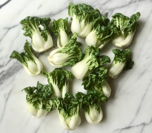 dwarf bok choy by cwww5.fioekdjsdas.cf