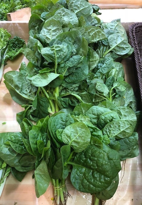 malabar-spinach by cwww5.fioekdjsdas.cf