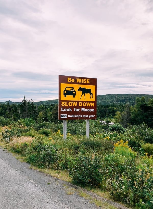 Newfoundland Canada - The Rock by cwww5.fioekdjsdas.cf