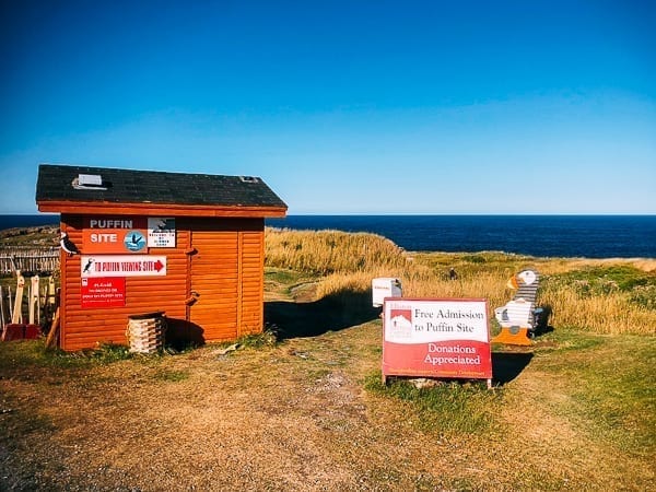 Newfoundland Canada - The Rock by cwww5.fioekdjsdas.cf