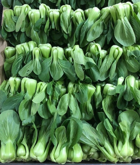 shanghai-baby-bok-choy by cwww5.fioekdjsdas.cf