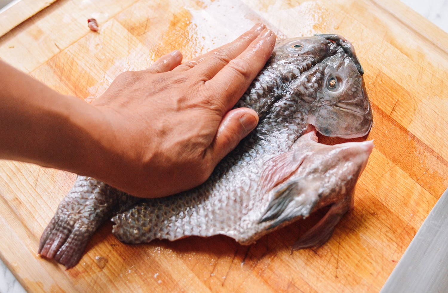 Steamed Tilapia: Hunan-Style Whole Fish, by cwww5.fioekdjsdas.cf