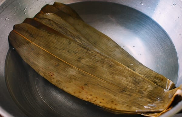 Bamboo Leaves, by cwww5.fioekdjsdas.cf