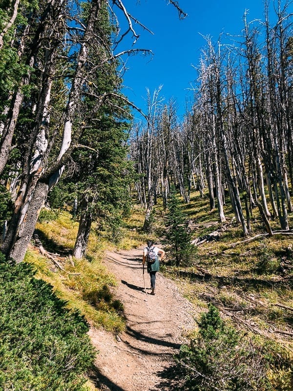 Avalanche Peak Hike, cwww5.fioekdjsdas.cf