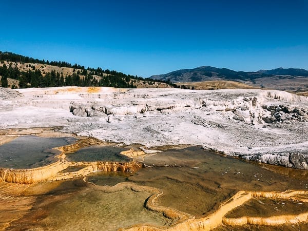 Mammoth Hot Springs, cwww5.fioekdjsdas.cf