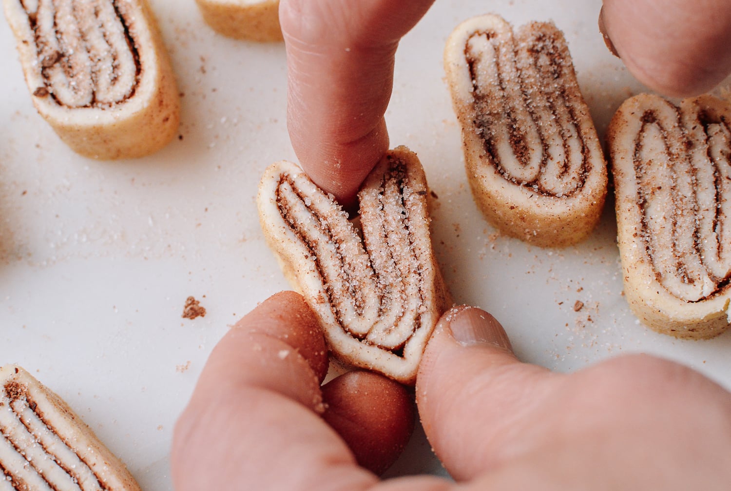 Chocolate palmiers before baking, cwww5.fioekdjsdas.cf