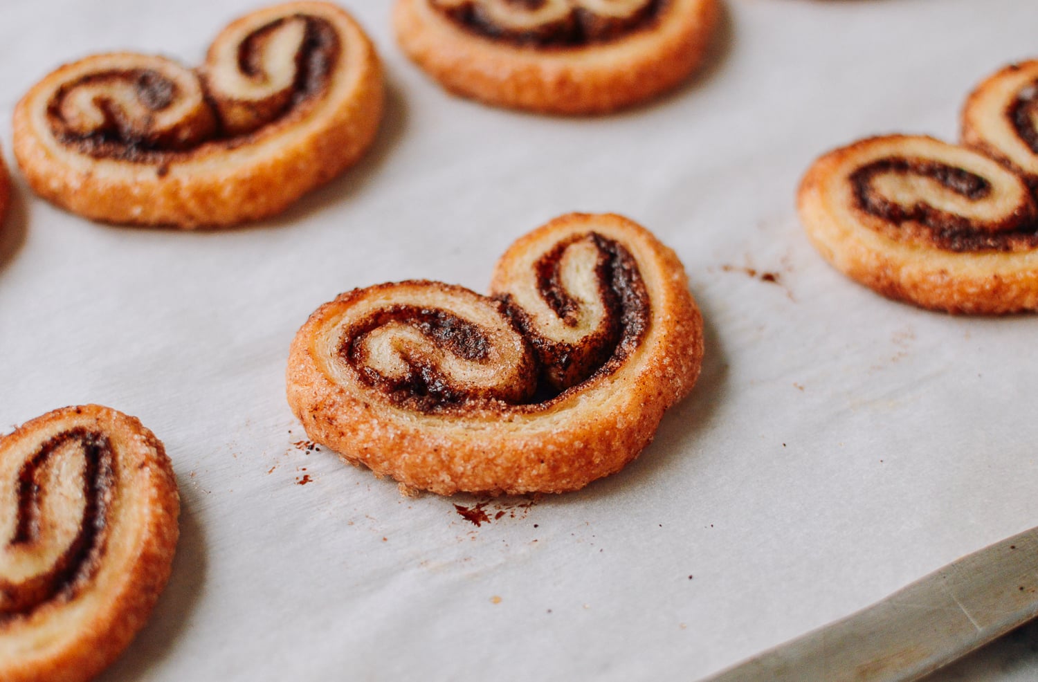 Chocolate Palmier, cwww5.fioekdjsdas.cf