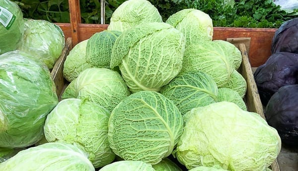 Savoy cabbage by cwww5.fioekdjsdas.cf