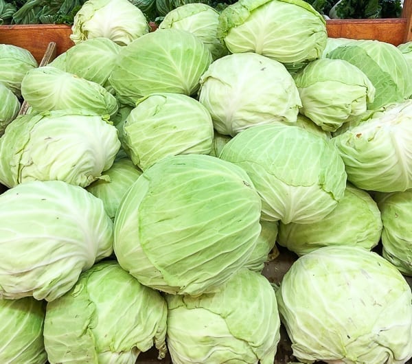 Taiwanese flat cabbage by cwww5.fioekdjsdas.cf