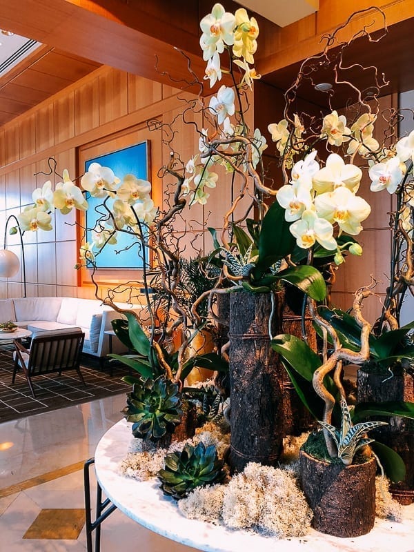 Four Seasons Miami Lobby, cwww5.fioekdjsdas.cf