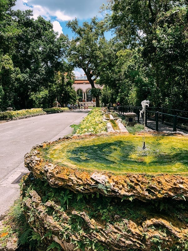 Vizcaya Museum Driveway, cwww5.fioekdjsdas.cf