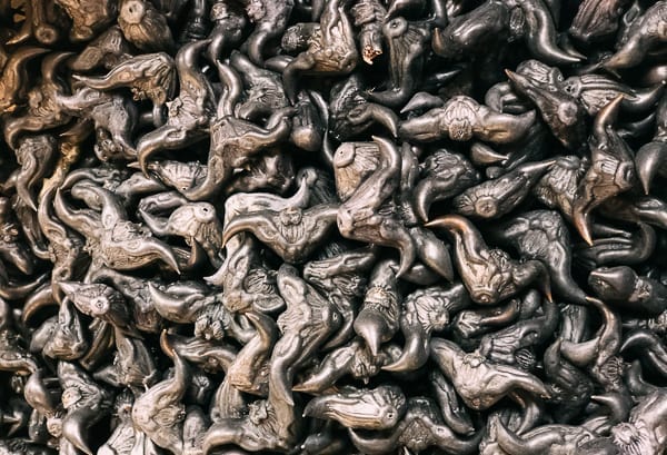buffalo nut, cwww5.fioekdjsdas.cf