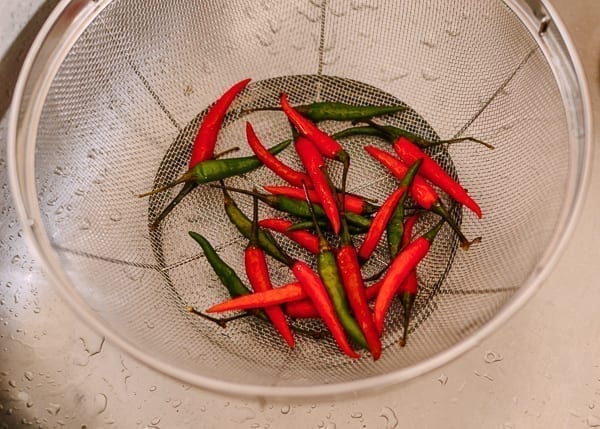 Chilies in colander, cwww5.fioekdjsdas.cf