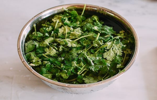 Soaking cilantro in water, cwww5.fioekdjsdas.cf