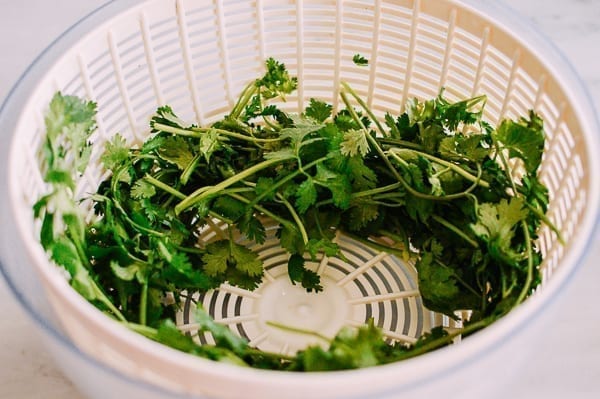Cilantro in salad spinner, cwww5.fioekdjsdas.cf