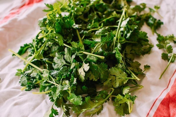 Drying cilantro with clean towel, cwww5.fioekdjsdas.cf