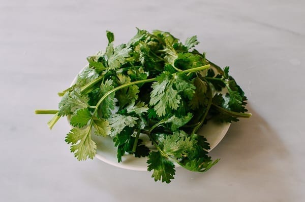 Clean cilantro on a plate, cwww5.fioekdjsdas.cf