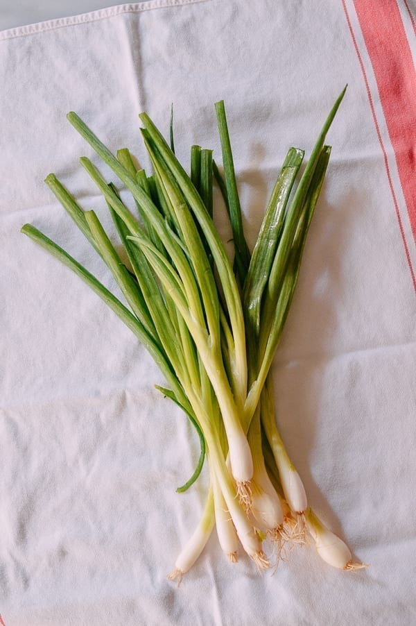Drying Scallions, cwww5.fioekdjsdas.cf