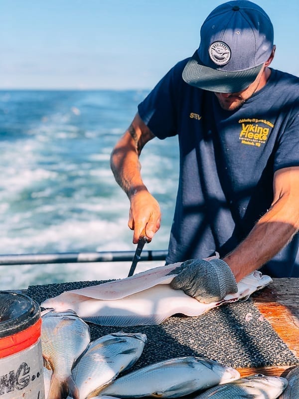 Filleting fluke on boat, cwww5.fioekdjsdas.cf